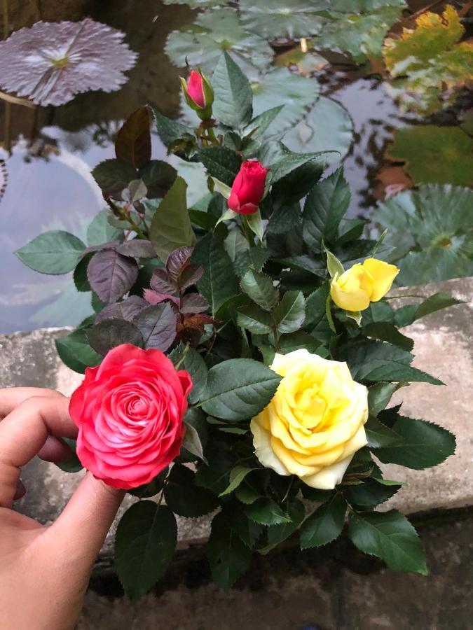 Son Thuy Homestay Hà Giang Eksteriør billede
